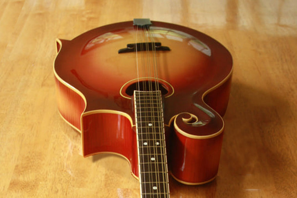 Custom-made-Classical-string-instruments